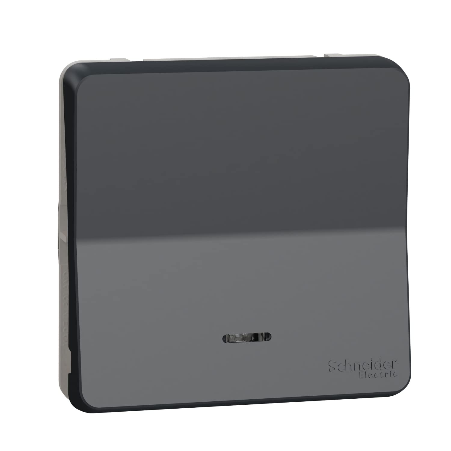 Schneider Electric MUR35025 Switch with LED, IP55, Grey