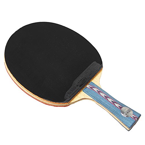 DHS Table Tennis Racket Ping Pong Paddle Hurricane No.2 (Long-handle) Double Pimples-in Bats Shake-hands Grip