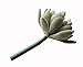Neomark Tyoungg 4 Pack Flocked Green Artificial Succulent Cactus Plants Echeveria Unpotted Long Stem for Wreath Making Wedding Bouquet Making 3.33”Wide x 5”Tall