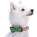 Blueberry Pet 4 Patterns Christmas Charm Breezy Trees Adjustable Dog Collar with Detachable Bow Tie, Medium, Neck 14.5