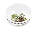 Portmeirion Pomona Individual Fruit Salad Bowl, set of 6, Multi