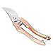 Robao Professional Sharp Bypass Pruning Shears, Tree Trimmers Secateurs,Hand Pruner, Bronze Handle Garden Shears,Clippers For The Garden