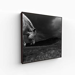 Canvas Wall Art for Living Room, Bedroom Portrait Framed Canvas Prints for Home Decoration Ready to Hang - 16x16 inches
