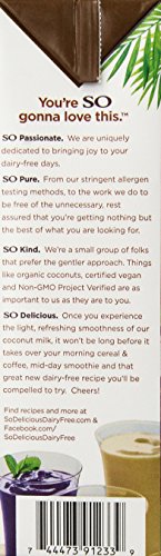 So Delicious Dairy-Free Organic Coconutmilk Beverage, Chocolate, 32 Ounce (Pack of 6) Plant-Based & Vegan, Great in Smoothies Protein Shakes or Cereal
