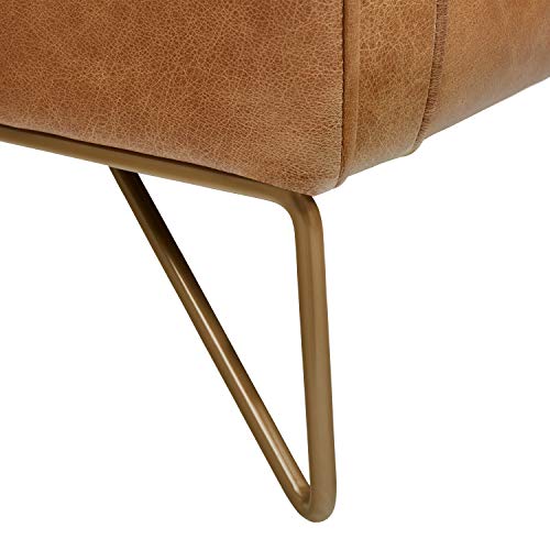 Amazon Brand Rivet Brooke Contemporary MidCentury Modern Tufted
