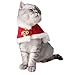 KMMall Pet Costume Christmas Pet Clothes Dog Party Clothing Cat Cape