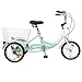 Slsy 14 inch Tricycle, 14″ Trike Bike Perfect for Beginner Riders, Single Speed 14 inch 3 Wheel Bikes, Three-Wheeled Bicycles with Adjustable Heightthumb 2