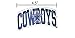 NFL DALLAS COWBOYS Football Team with Star Logo 4.5