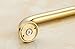 Hiendure® Home Care 12 Inches Grab Bar Concealed Mounting, Titanium Gold