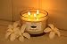 Caitlins Home Scented Candle Aromatherapy White Tea and Ginger 3 Wick Natural Wax with Essential Oils