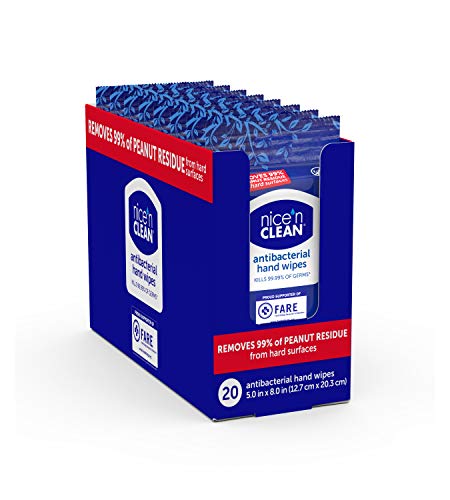 Nice 'n CLEAN Anti-Bacterial Hand Wipes, 20 Count (Pack of 6)