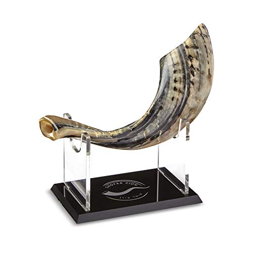 Photo 1 of **with scratches***KOSHER ODORLESS NATURAL SHOFAR Genuine Rams Horn Made in Israel Clean and Odorless Includes Exquisite Stand and Carrying Bag Smooth Mouthpiece by Shofar Zion 13"-14"