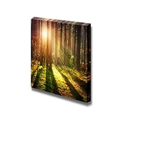 Canvas Prints Wall Art - Misty Old Forest Woods in Autumn | Modern Wall Decor/Home Art Stretched Gallery Canvas Wraps Giclee Print & Ready to Hang - 12" x 12"