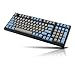 Leopold FC980M Mechanical Keyboard 98 Keys Cherry MX PBT (Grey/Blue(Black Switch))