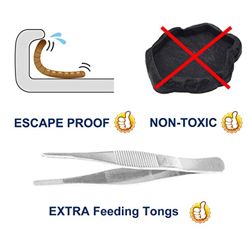 4 SciEdu+Feeding+Tweezers+Ceramic+Reptile