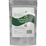 Pure Dead Sea Salt with Eucalyptus for Men & Women - Pure Eucalyptus Species for Aromatherapy - Authentic Dead Sea Salt From Israel -Therapeutic & Minerally-rich Eucalyptus Bath Soa - 15% Epsom Salt