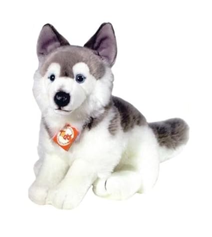 husky teddy amazon