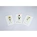 MT Masking Tape Ex Flower (MTEX1P60)