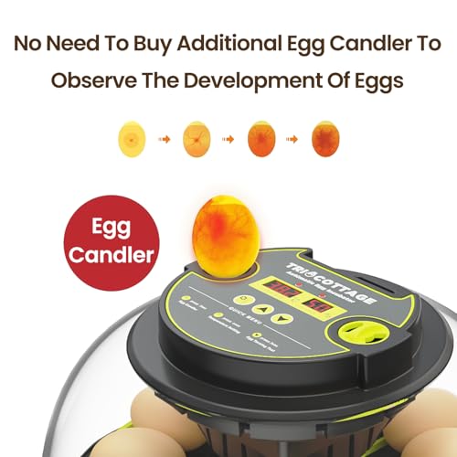 Incubators for Hatching Eggs 12 Egg Lab Incubator with Automatic Egg Turning and Humidity Display,Auto Water Replenishment,for Chicken Eggs and Quail Egg