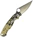 Spyderco ParaMilitary2 G-10 Plain Edge Knife