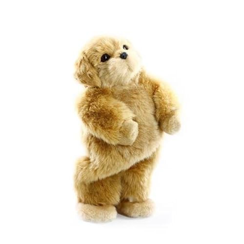 giveaway gift ideas on amazon related to Toys & Games list of amazon products that are Electronic Pets, under $20, under $25, cool items, gadgets