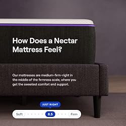 Nectar Premier Twin XL 13” Mattress with Bed