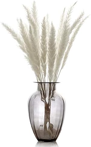 Ohwens Dried Flowers Artificial Flowers Bouquets 15 Pcs Dried Small Pampas Grass Phragmites Decoration for Home Hotel Wedding