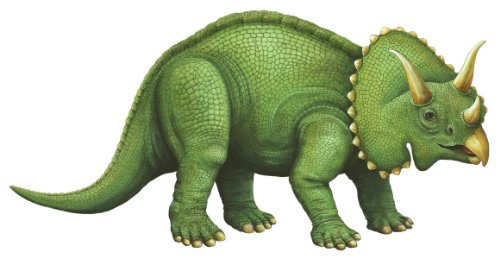 Walls of the Wild Triceratops - Side View 21