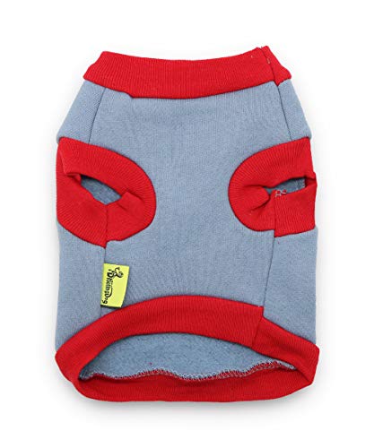 drooling dog clothes