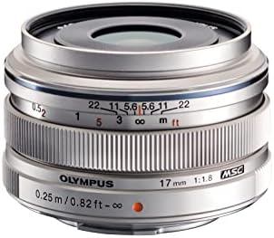 Amazon.com : Panasonic Leica DG Summilux 15mm/ F1.7 ASPH. H-X015 