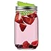 Jarware Fruit Infusion Lid for Regular Mouth Mason Jars, Green