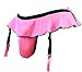 aishani Men's Pouch Panties Skirted Garter Thong Bikini Briefs Underpants,L Pink