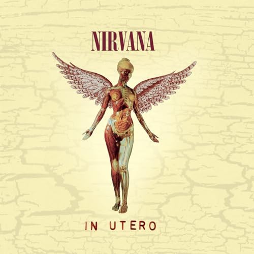 Nirvana - Incesticide [CD] - Amazon.com Music