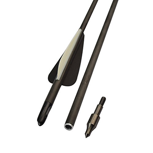 Archery 28 Inch Carbon Arrow Spine 400 Practice Hunting Arrows with Removable Tips for Compound & Recurve Bow (Pack of 6