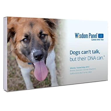 Wisdom Panel Breed Discovery Dog DNA Kit: Most Accurate Dog Breed Identification, Test for 365+ Breeds, MDR1 Health Test, Ancestry, Relatives