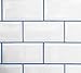 Buzzed Blue Unsanded Tile Grout - 5 lbs - with Blue Pigment in The Mix
