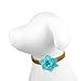 Martha Stewart Flower Pet Collar Accessory Set, One Size