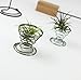 Pack of 6 Small Air Plant Holder Air Plant Base Tillandsia ionantha Fuego Planter Tillandsia Container Stainless Steel Wire Air Plant Stand Air Plant Holders Tillandsia Plant Display Racks