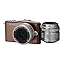 OLYMPUS マイクロ一眼 PEN mini E-PM1 ツインレンズキット ブラウン E-PM1 TKIT BRW photo