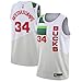 Giannis Antetokounmpo #34 Milwaukee Bucks 2018-19 Swingman Men's Jersey