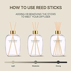 COCODOR Herbarium Reed Diffuser/Black Cherry