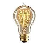 ANYQOO Dimmable Edison Light Vintage Bulbs Dimmer Filament Antique Base (E26/E27) 40W