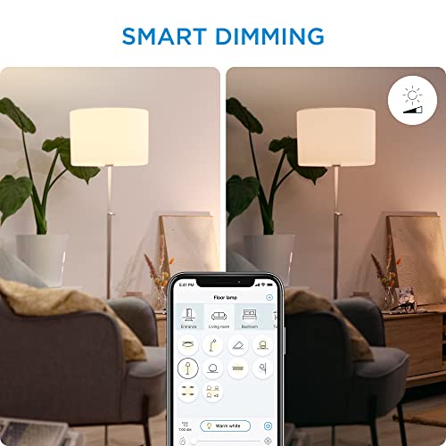 WiZ Connected Daylight High 1600 Lumen 100W A21 Smart WiFi Light Bulb