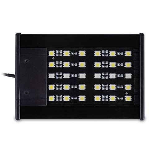 Hoke Day/Night LED Light Hood for Terrarium, White and Blue LEDs