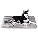 JoicyCo Dog Beds Crate Pad Mat 42″ Washable Pet Bed Cat Beds Soft Dog Mattress Anti-Slip Kennel Pads,Grey Lthumb 1