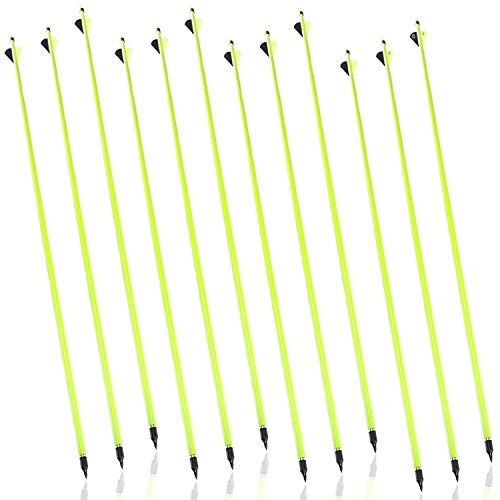 JY-Sports Targeting Arrows 30'' Inch Carbon Fiber Hunting Arrows Outdoors Archery Green Shaft with Replace Arrow Tips and Removable Nock for Compound Bow a Dozen Arrows in Box (Green)