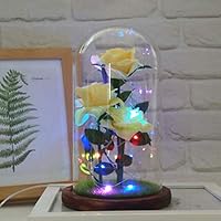 Agelloc Beauty and The Beast Rose Romantic Rose in a Glass Dome with LED Light on Pine Wooden Base for Wedding Valentine