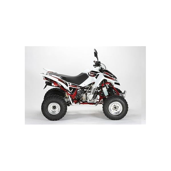Triton Baja 450 4x2 Sport LOF Access Lagerfahrzeug schwarz – Bild 3