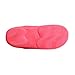 WILLIAM&KATE Men and Women's Cute Fleece Memory House Slippers Cool Soft Casual Indoor Shoes