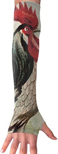 Cock Clipart Painting Cooling Arm Sleeves Unisex Sun Block UV Protection